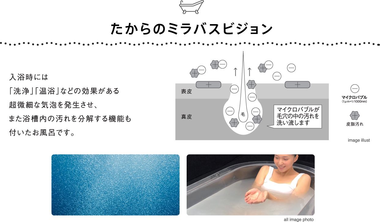 たからのミラバスビジョン