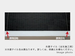 image illust
