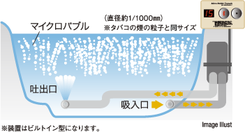 Image Illust