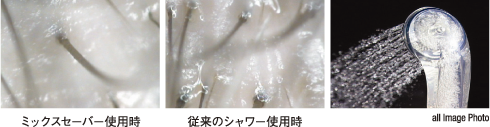 all Image Photo