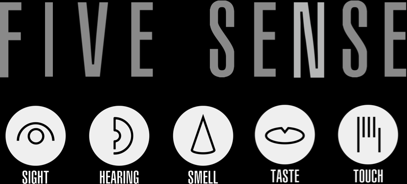 five_sense