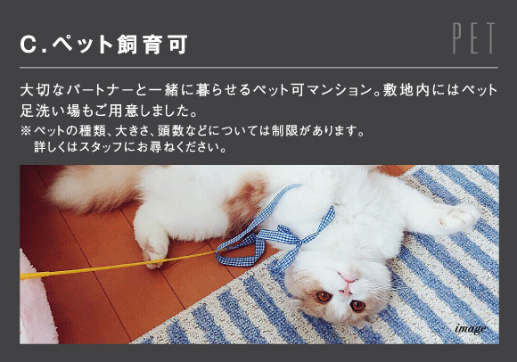 C.ペット飼育可