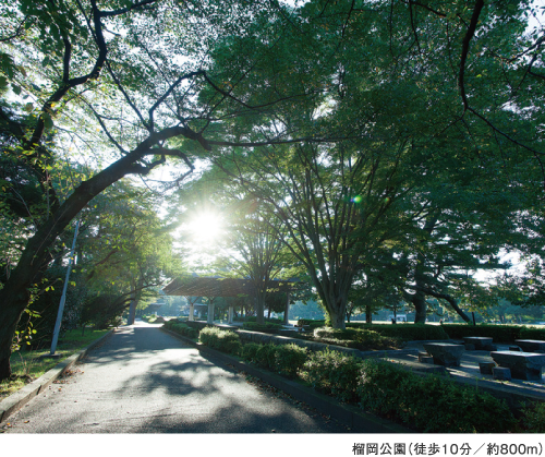 榴岡公園（徒歩10分／約800m）