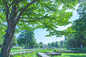 上尾丸山公園（自転車18分／約4,470ｍ）