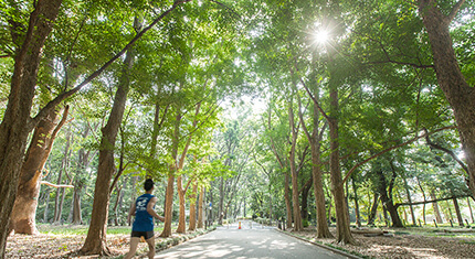 上尾運動公園（徒歩20分／約1,540ｍ）