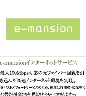 e-mansionインターネットサービス