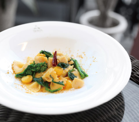 TRATTORIA TRINITA