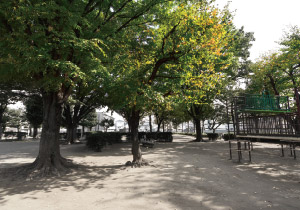 遊具が豊富な自然公園北朝霞公園