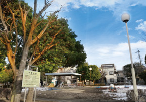 桜がキレイな住宅街の公園中東公園