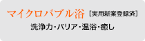 マイクロバブル浴