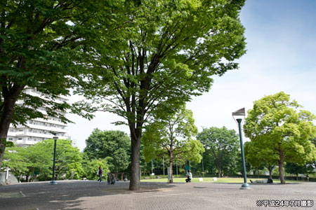 川口西公園