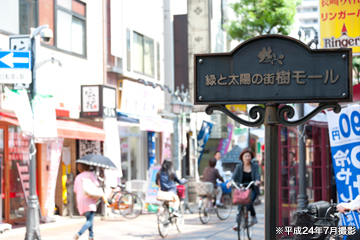 樹モール