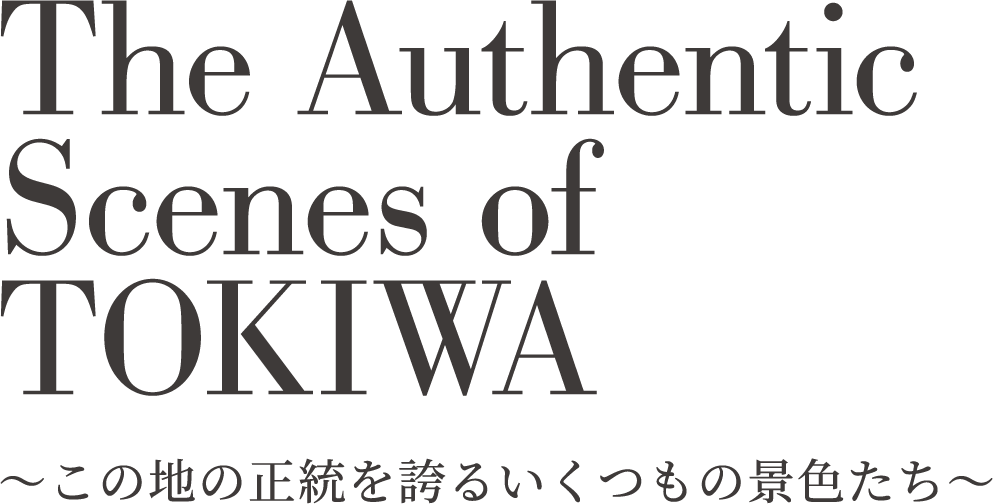 The Authentic Scenes of TOKIWA