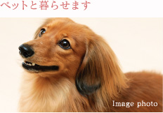 ペットと暮らせます