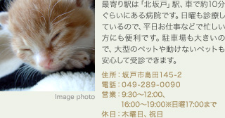 最寄り駅は「北坂戸」駅、車で約10分ぐらいにある病院です。日曜も診療しているので、平日お仕事などで忙しい方にも便利です。駐車場も大きいので、大型のペットや動けないペットも安心して受診できます。
住所：坂戸市島田145-2
電話：049-289-0090
営業：9:30～12:00、16:00～19:00※日曜17:00まで
休日：木曜日、祝日