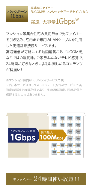 高速光ファイバー「UCOM光 マンション全戸一括タイプ」なら高速！大容量1Gbps※