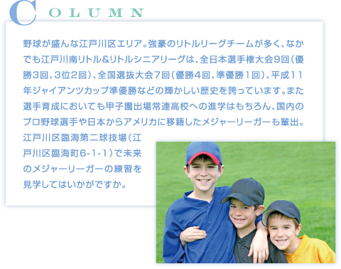 コラム