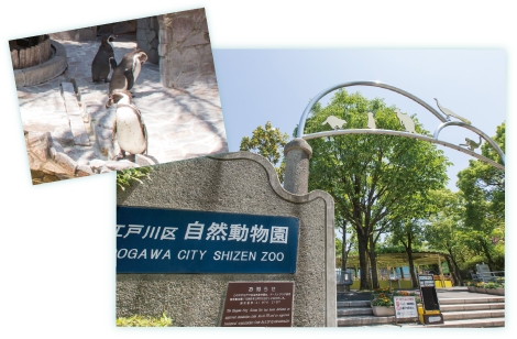 参加型の年間イベントが充実している (4)江戸川区自然動物園
