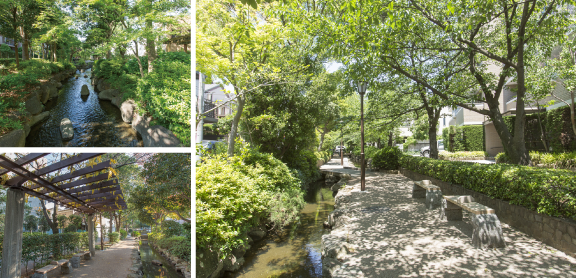 (4)小松川境川親水公園 徒歩1分（約3m）