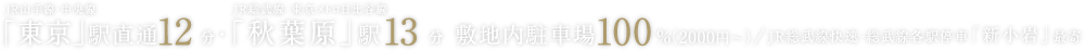 JR山手線・中央線「東京」駅直通12分・JR総武線・東京メトロ日比谷線「秋葉原」駅13　敷地内駐車場100%（2000円〜）/分／JR総武線快速・総武線各駅停車「新小岩」最寄