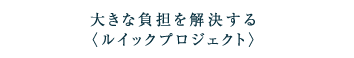大きな負担を解決する〈ルイックプロジェクト〉