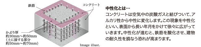 Image illust. 中性化とは