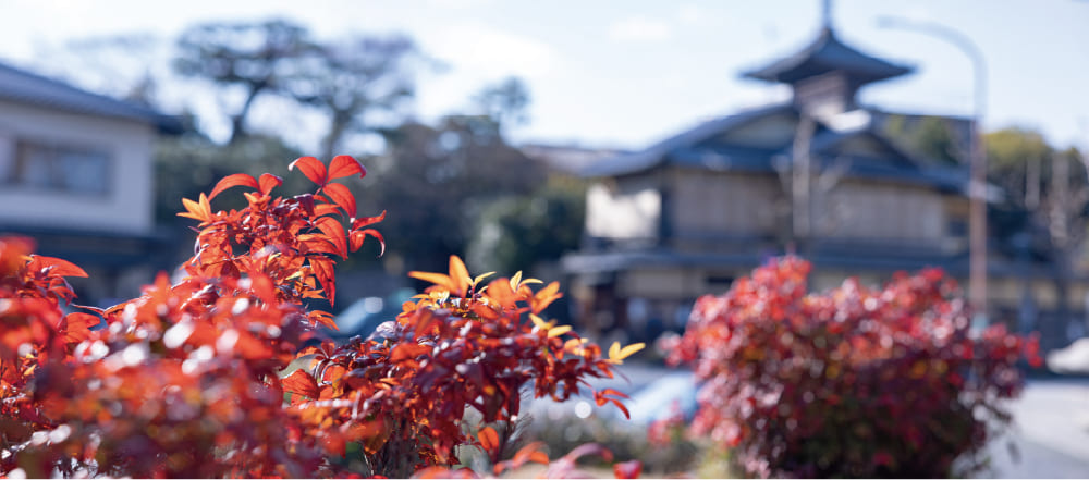 竣工写真
