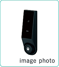 image illust