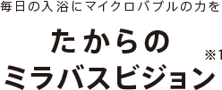 毎日の入浴にマイクロバブルの力を たからのミラバスビジョン