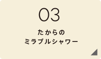 03 たからのミラブルシャワー