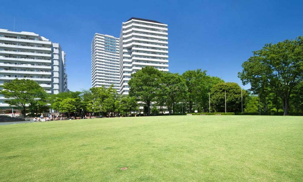 芝生とビル