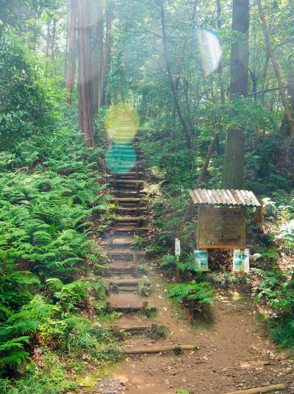 林道への階段