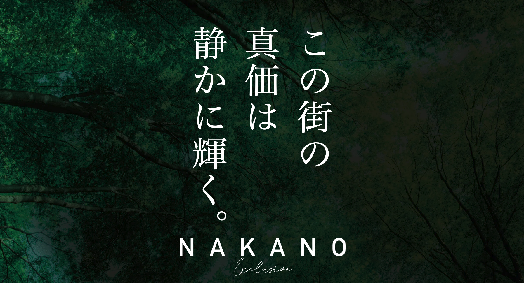レーベン中野鷺宮