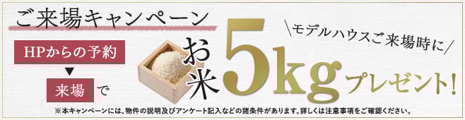 お米5Kg