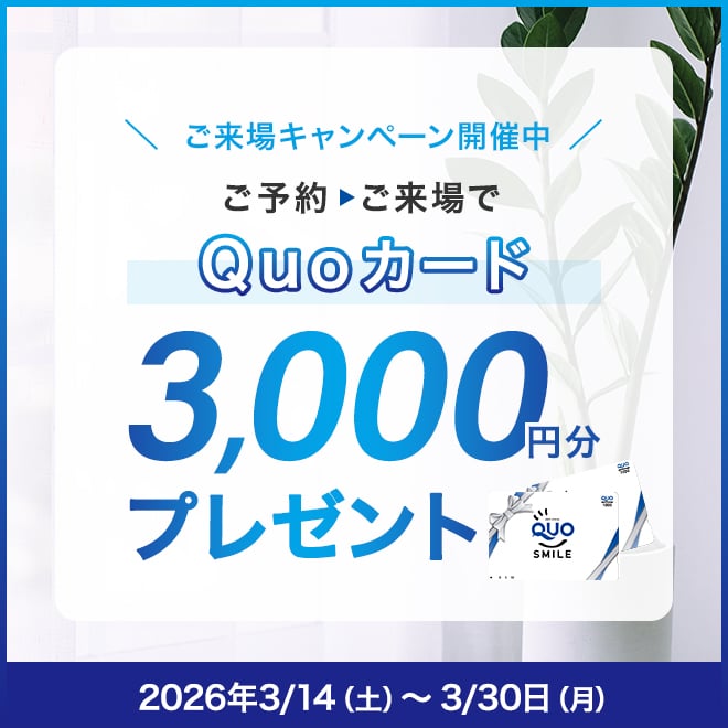 来場キャンペーン