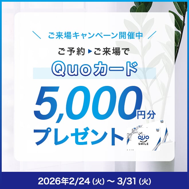 来場キャンペーン