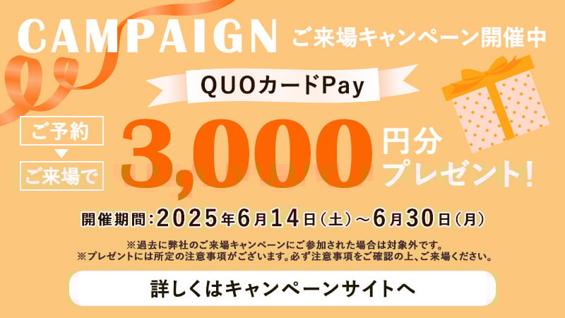 来場キャンペーン