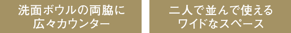 二人で並んで使用できるボウル一体型カウンター