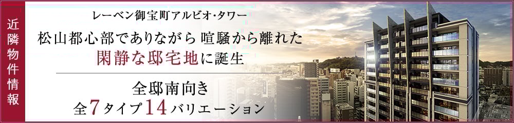 レーベン御宝町アルビオ・タワー