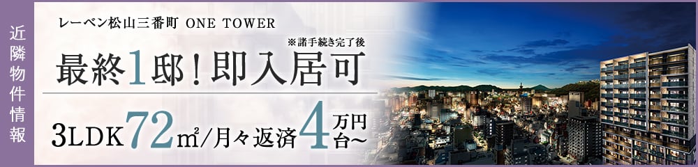 レーベン松山三番町 ONE TOWER