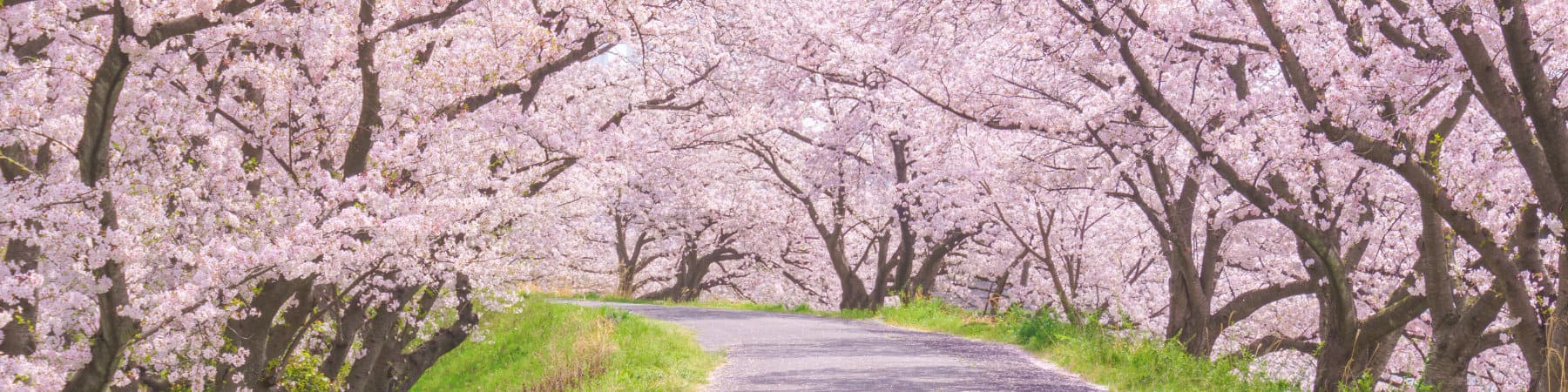 ロケーションのイメージ