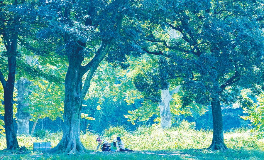 朝霞の森 レーベン朝霞本町
