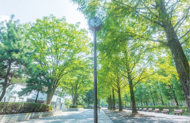 朝霞中央公園 レーベン朝霞本町