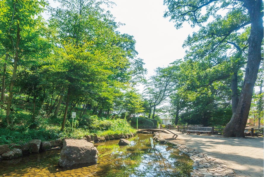 滝の根公園 レーベン朝霞本町