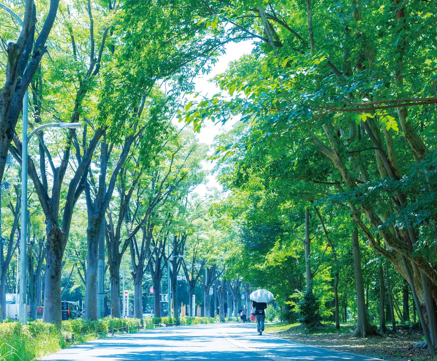 朝霞シンボルロード レーベン朝霞本町