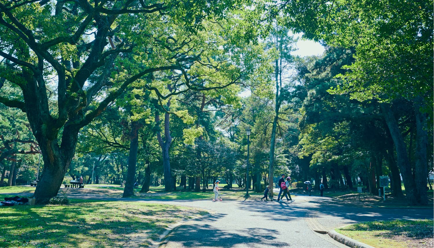 別府公園（徒歩10分）