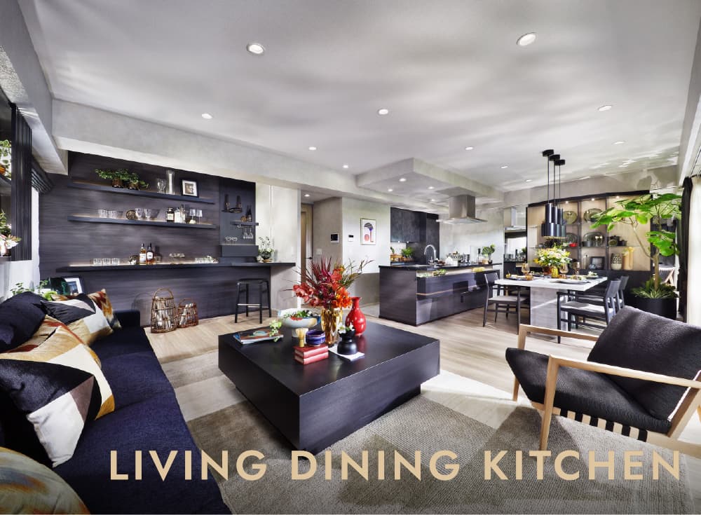 Living Dining Kitchen