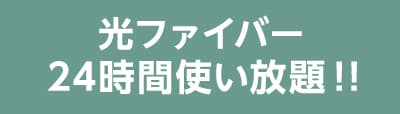 光ファイバー24時間使い放題