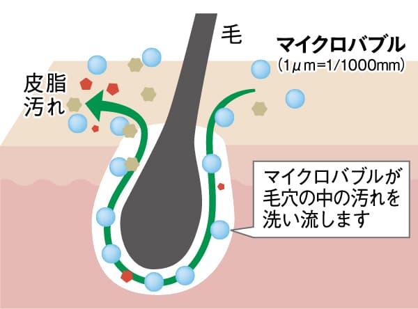 image illust