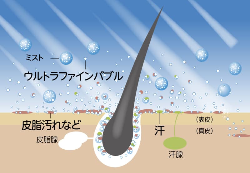 image photo